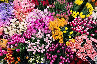 GameStop2022年Q1销售额达到13.8 亿美元 同比增长8.6%